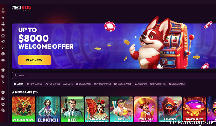 Казино в Канаде с быстрыми выплатами | Казино без KYC с мгновенным выводом для канадских игроков в 2025 году - MovieMaker